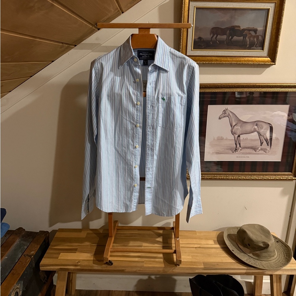 Abercrombie & Fitch Light Blue Striped Cotton Button-Down Shirt